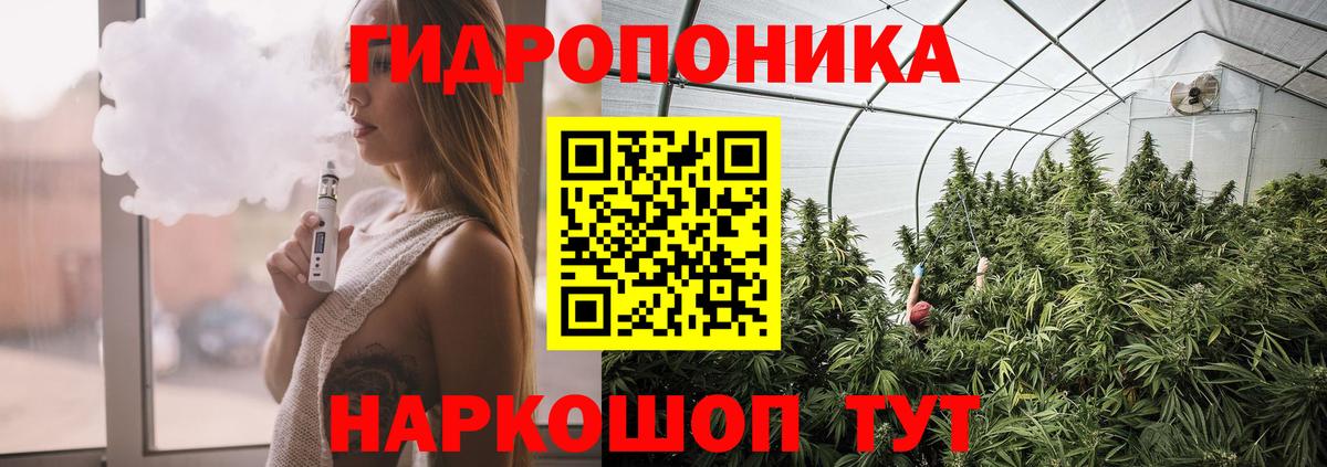 Бошки Шишки марихуана  Бошки Шишки OG Kush  Вход с VPN  Марихуана Amnesia  Марихуана Bruce Banner  Долгопрудный 